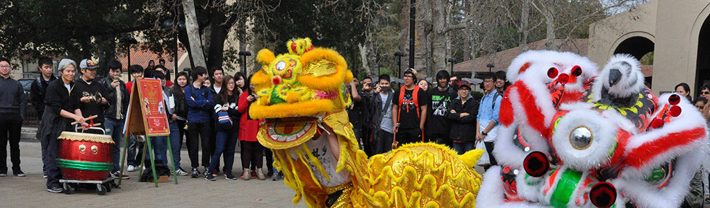 Dragon and lion dancers