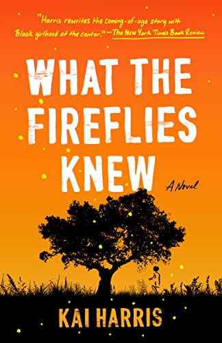 Book cover for What The Fireflies Knew
