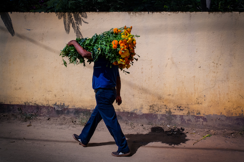 man carrying bundle of flowers