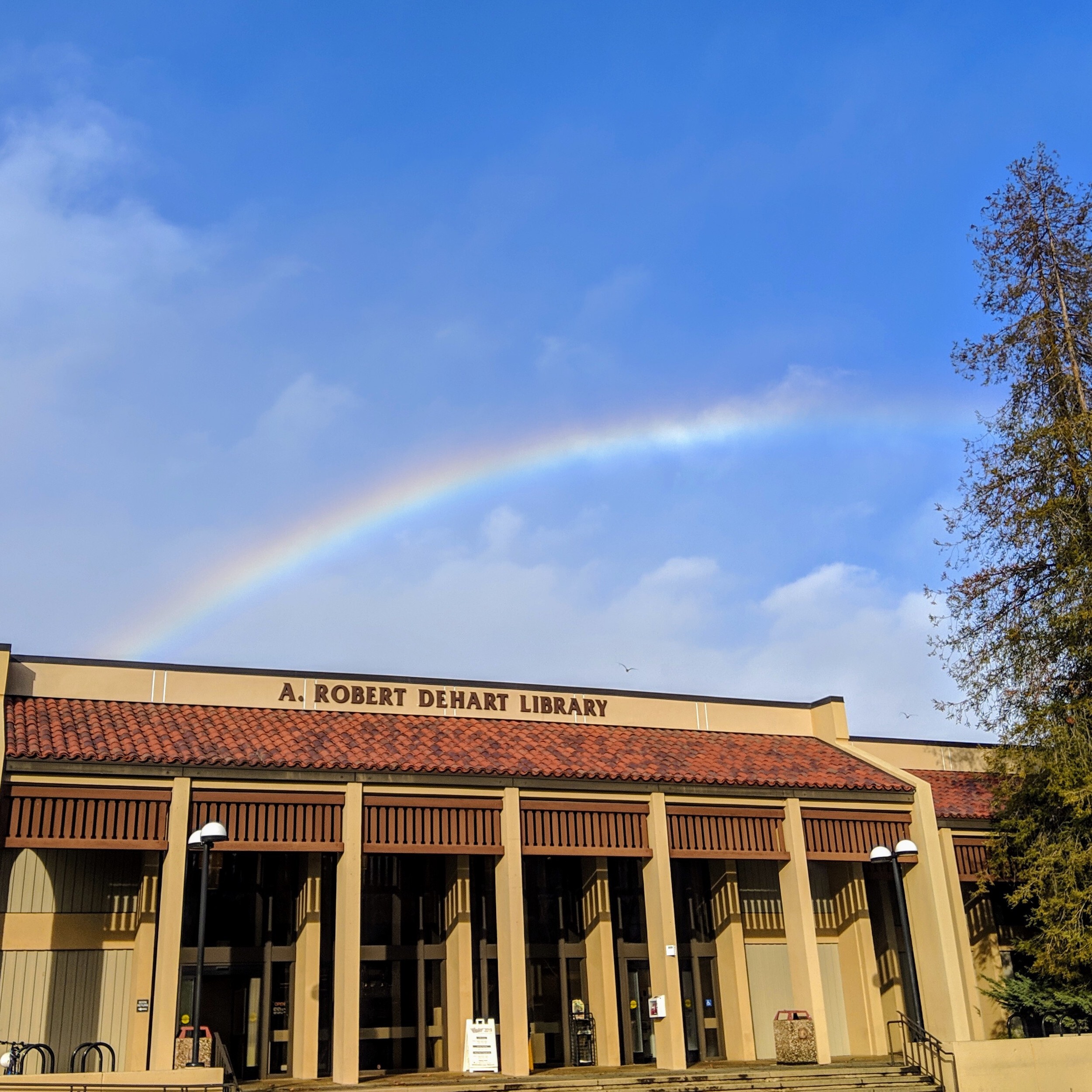 rainbow hands